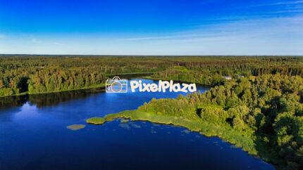 Summer Symphony: Forest and River in Estonia